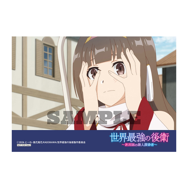 ブロマイド